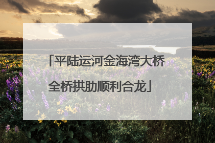 平陆运河金海湾大桥全桥拱肋顺利合龙