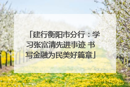 建行衡阳市分行：学习张富清先进事迹 书写金融为民美好篇章
