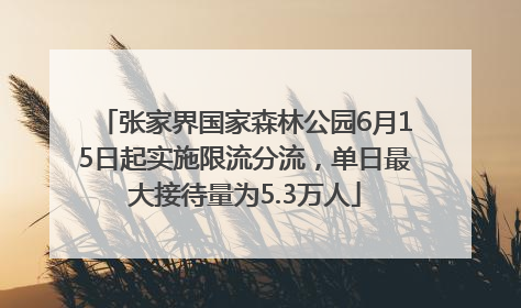 张家界国家森林公园6月15日起实施限流分流，单日最大接待量为5.3万人