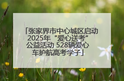 张家界市中心城区启动2025年“爱心送考”公益活动 528辆爱心车护航高考学子