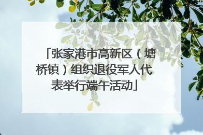 张家港市高新区（塘桥镇）组织退役军人代表举行端午活动