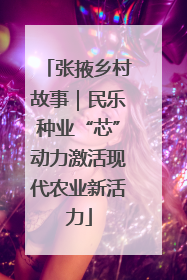 张掖乡村故事｜民乐种业“芯”动力激活现代农业新活力