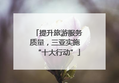 提升旅游服务质量，三亚实施“十大行动”