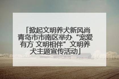 掀起文明养犬新风尚 青岛市市南区举办“宠爱有方 文明相伴”文明养犬主题宣传活动