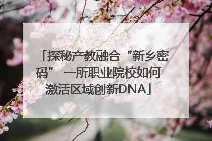 探秘产教融合“新乡密码” 一所职业院校如何激活区域创新DNA