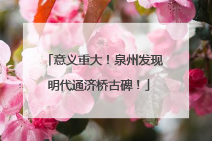 意义重大！泉州发现明代通济桥古碑！