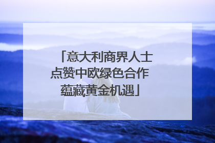 意大利商界人士点赞中欧绿色合作蕴藏黄金机遇