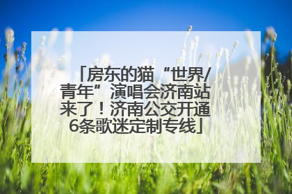 房东的猫“世界/青年”演唱会济南站来了！济南公交开通6条歌迷定制专线