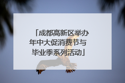 成都高新区举办年中大促消费节与毕业季系列活动