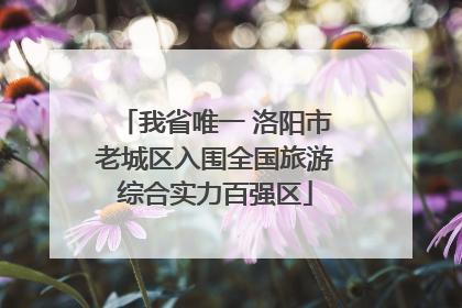 我省唯一 洛阳市老城区入围全国旅游综合实力百强区