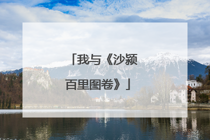 我与《沙颍百里图卷》