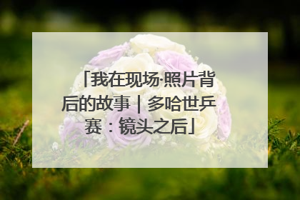 我在现场·照片背后的故事|多哈世乒赛:镜头之后
