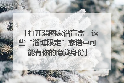 打开淄图家谱盲盒，这些“淄博限定”家谱中可能有你的隐藏身份