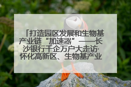 打造园区发展和生物基产业链“加速器”——长沙银行千企万户大走访·怀化高新区、生物基产业链专场活动举行