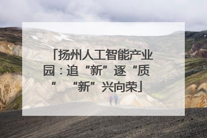扬州人工智能产业园：追“新”逐“质” “新”兴向荣