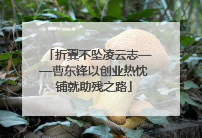 折翼不坠凌云志——曹东锋以创业热忱铺就助残之路