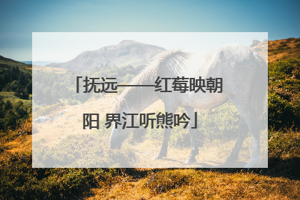 抚远——红莓映朝阳 界江听熊吟