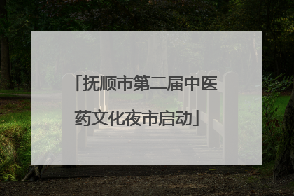 抚顺市第二届中医药文化夜市启动