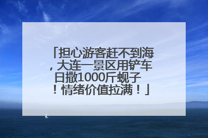 担心游客赶不到海，大连一景区用铲车日撒1000斤蚬子！情绪价值拉满！