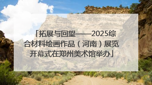 拓展与回望——2025综合材料绘画作品（河南）展览开幕式在郑州美术馆举办