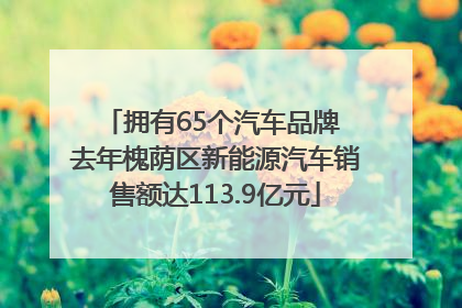 拥有65个汽车品牌 去年槐荫区新能源汽车销售额达113.9亿元