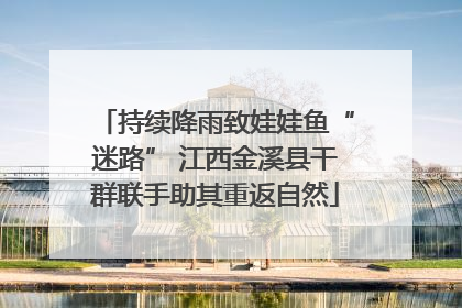 持续降雨致娃娃鱼“迷路” 江西金溪县干群联手助其重返自然