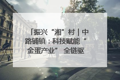 振兴“湘”村｜中路铺镇：科技赋能“金蛋产业” 全链驱动乡村振兴