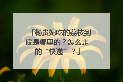 杨贵妃吃的荔枝到底是哪里的？怎么走的“快递”？