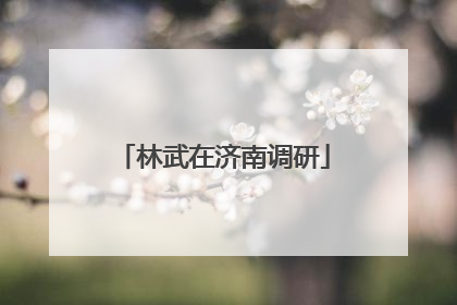 林武在济南调研