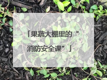 果蔬大棚里的“消防安全课”