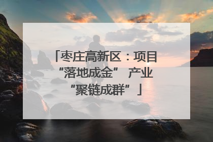 枣庄高新区：项目“落地成金” 产业“聚链成群”