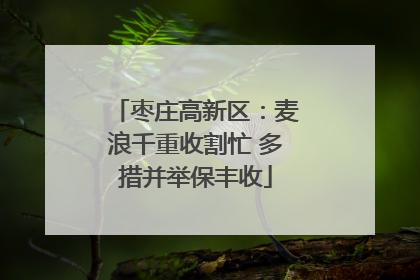 枣庄高新区：麦浪千重收割忙 多措并举保丰收