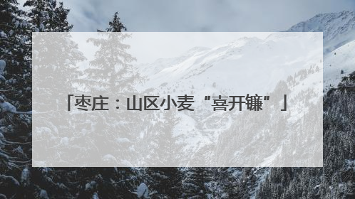 枣庄：山区小麦“喜开镰”
