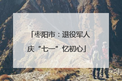 枣阳市：退役军人庆“七一”忆初心