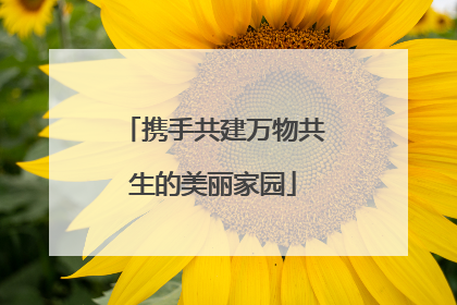 携手共建万物共生的美丽家园