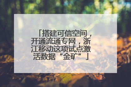搭建可信空间，开通流通专网，浙江移动这项试点激活数据“金矿”