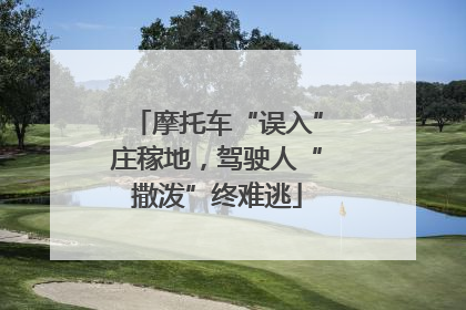 摩托车“误入”庄稼地，驾驶人“撒泼”终难逃