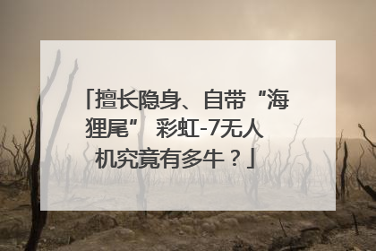擅长隐身、自带“海狸尾” 彩虹-7无人机究竟有多牛？
