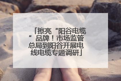 擦亮“阳谷电缆”品牌！市场监管总局到阳谷开展电线电缆专题调研