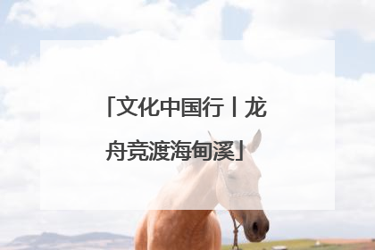 文化中国行丨龙舟竞渡海甸溪