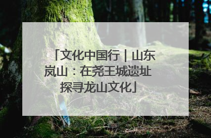 文化中国行｜山东岚山：在尧王城遗址探寻龙山文化