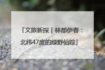 文旅新探｜林都伊春：北纬47度的绿野仙踪