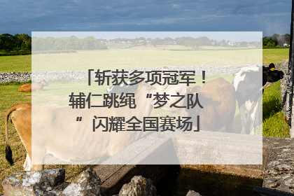 斩获多项冠军！辅仁跳绳“梦之队”闪耀全国赛场
