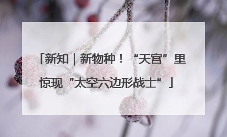 新知｜新物种！“天宫”里惊现“太空六边形战士”