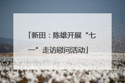 新田：陈雄开展“七一”走访慰问活动