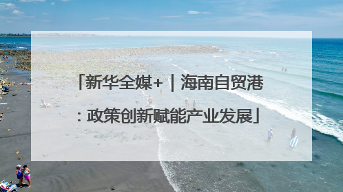 新华全媒+｜海南自贸港：政策创新赋能产业发展