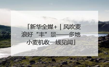 新华全媒+｜风吹麦浪好“丰”景——多地小麦机收一线见闻