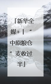 新华全媒+丨“中原粮仓”麦收过半