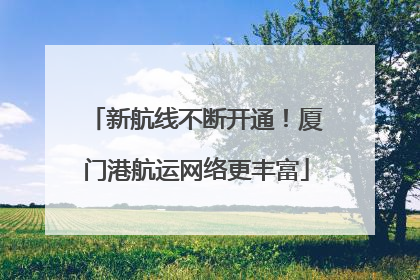 新航线不断开通！厦门港航运网络更丰富