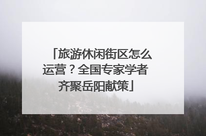 旅游休闲街区怎么运营？全国专家学者齐聚岳阳献策